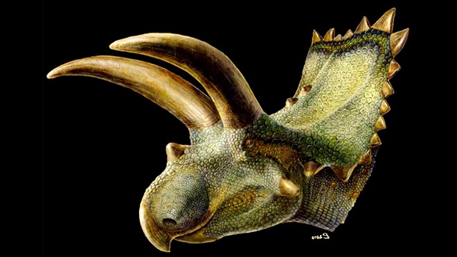 horned dinosaur